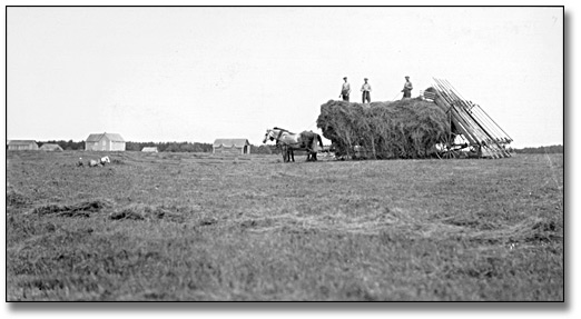 Photographie : Loading hay, Thunder Bay District, 1878