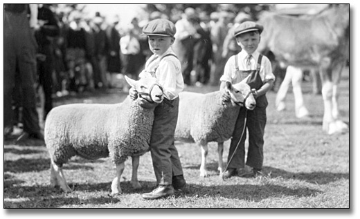 Photographie : Boyd and Lloyd Ayre Hampton (twins) exhibiting twin southdowns, Jr. Section, Oshawa, 1930