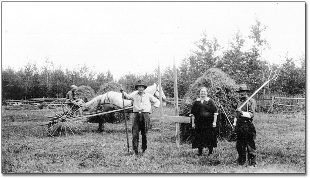 Photo: Finnish farm in the Fort William District, 1926