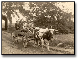 Photo: Farm boys taking a ride on a cart, 1907