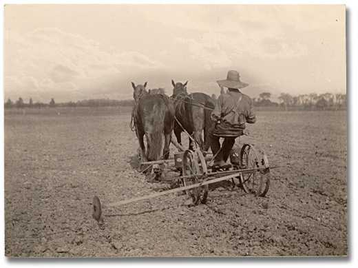 Photographie : Planting with a dual seeding machine, 1919