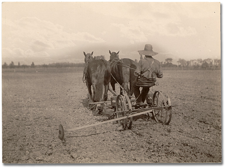 Photo: Planting with a dual seeding machine, 1919