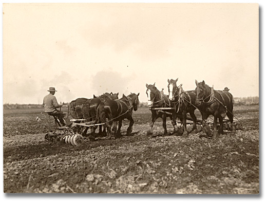 Photographie : Disking a field, 1910 