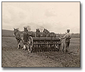 Photo: Sowing spring wheat, 1919
