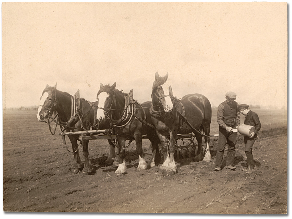 Photographie : Taking a break from disking a field, 1906 