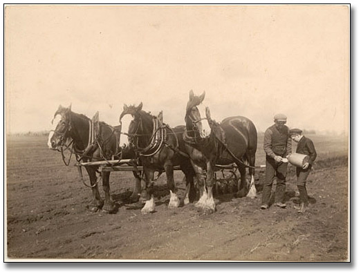 Photographie : Taking a break from disking a field, 1906