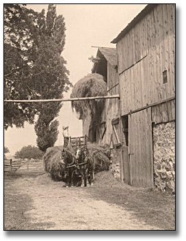 Photo: Loading hay into barn, 1919
