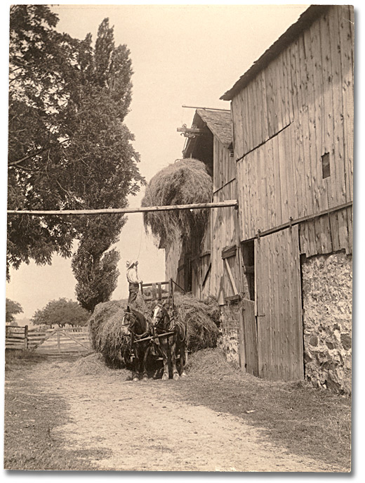 Photographie : Loading hay into barn, 1919