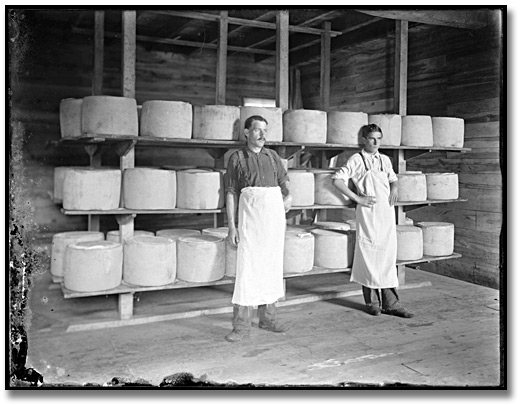 Photographie : Inside the cheese factory, Eastern Ontario, [entre 1895 et 1910] 