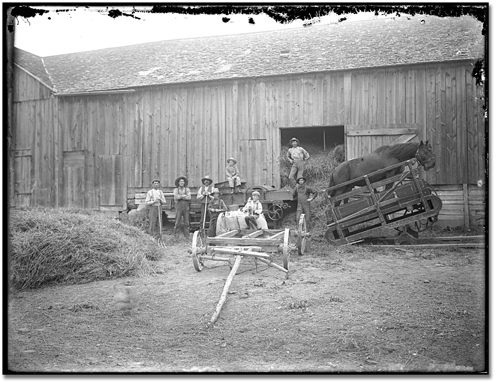 Photo: Farmers moving hay into a barn, [between 1895 and 1910] 