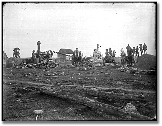 Photo: Farming scene (removing rocks from ground?), Eastern Ontario, [between 1895 and 1910]