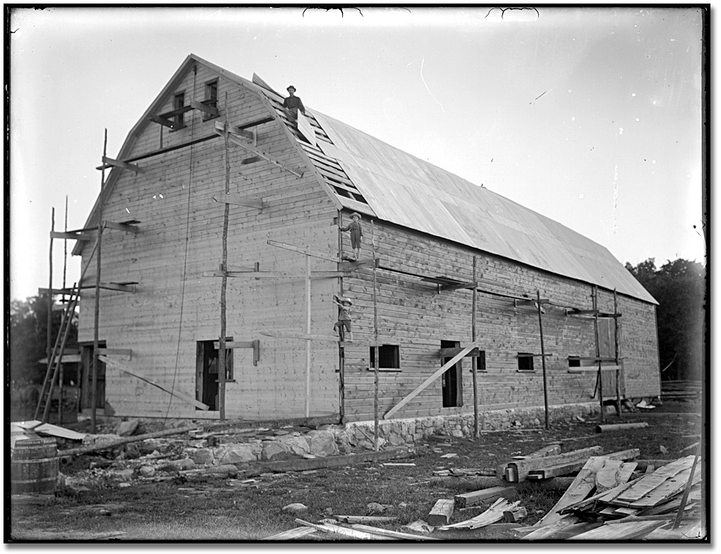 Photo: Raising a barn, [between 1895 and 1910] 