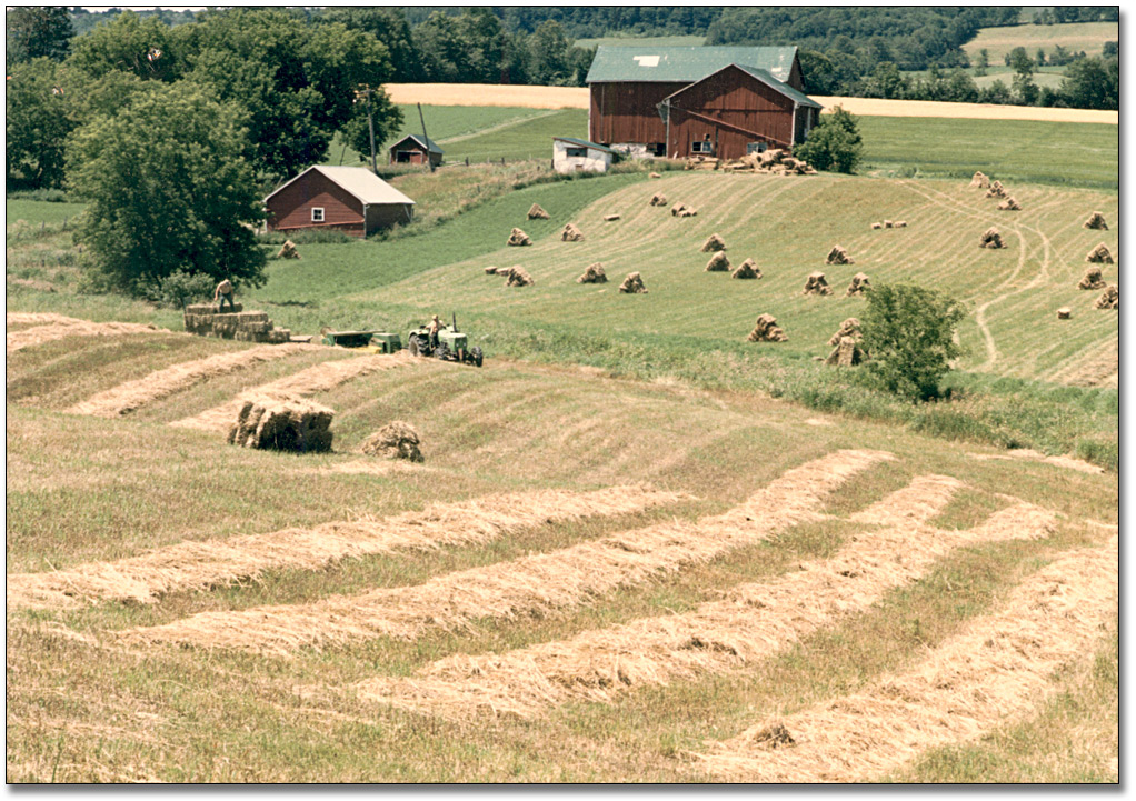 Photographie : Farmer harvesting hay, 1985