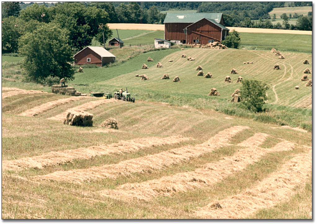 Photo: Farmer harvesting hay, 1985