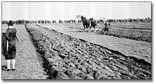 Photo: Ploughing match in Ilderton, Ontario, [ca. 1920]