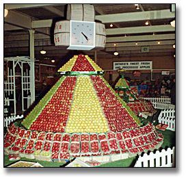 Photo: Ontario apple display at the Royal Agricultural Winter Fair, November 18, 1966