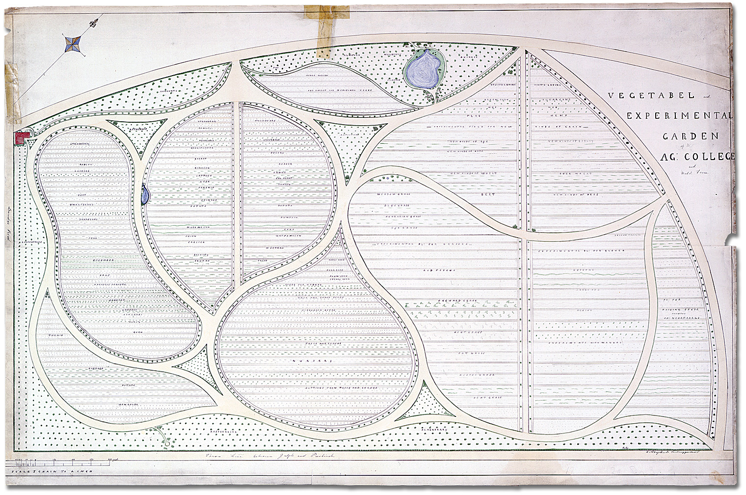 Landscape Plan: Vegetable and experimental garden of the Agricultural College and Model Farm in Guelph, [ca. 1874]