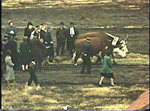 Video Clip: International Plowing Match, 1952