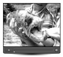 Watch - Two Thirteen Year Old Boys Land a 28 Pound Trout Video, 1961
