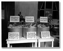 Photo: Nutrition exhibit using rats at the Canadian National Exhibition (CNE), Toronto, 1928