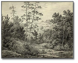 Rosedale (Toronto) in the early eighties c. 1882