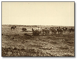 Photo: The taking of Vimy Ridge, Canadian Field Artillery bringing up the guns, 1917