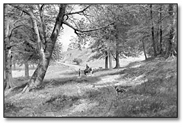 Huile sur toile : The Road Through the Beeches [Le chemin parmi les hêtres], 1894