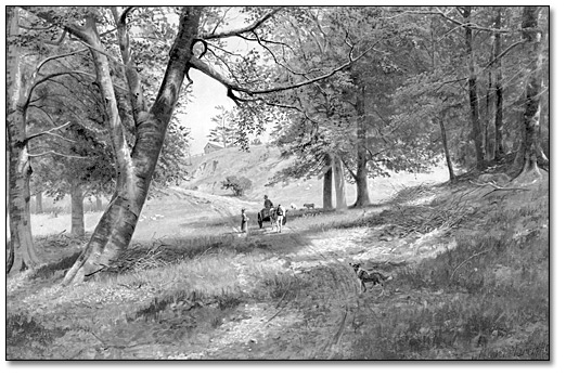 Oil on canvas: The Road Through the Beeches, 1894