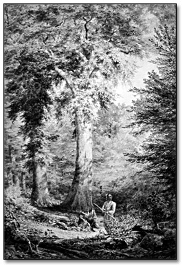 Aquarelle sur papier : Lords of the Forest [Seigneurs de la forêt], 1874