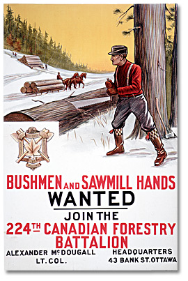 War Poster - Recruitment: Bushmen and Sawmill Hands Wanted [Canada], [between 1914 and 1918]