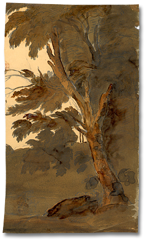 Watercolour: Tree [fragment]