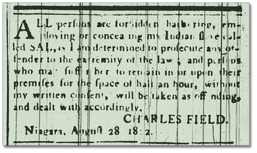 Advertisement, Niagara Herald, 28 August, 1802