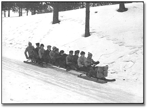 Photo: Tobogganing in High Park, 1915