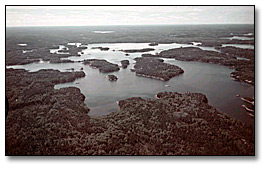 Aerial view of the lakes and forests of Quetico Provincial Park, 1958