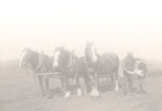 Photographie : Taking a break from disking a field, 1906