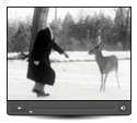Regardez - Le parc Springbank en hiver