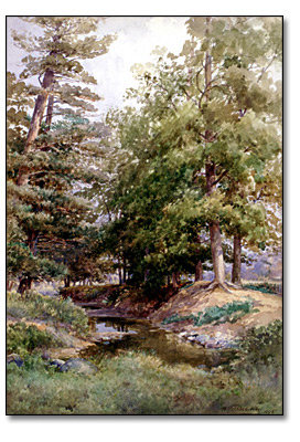 aquarelle sur papier : A Quiet Pool, 1898
