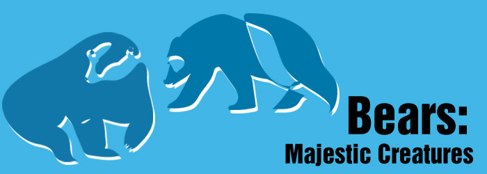 Bears: Majestic Creatures banner