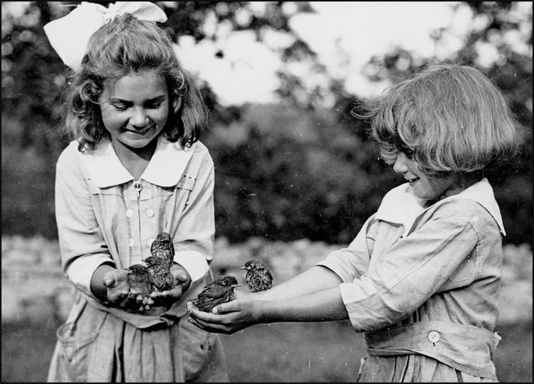 Two girls remain motionless as wild birds feed from the seeds cupped in their hands, [ca. 1918]