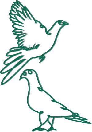 Birds icon