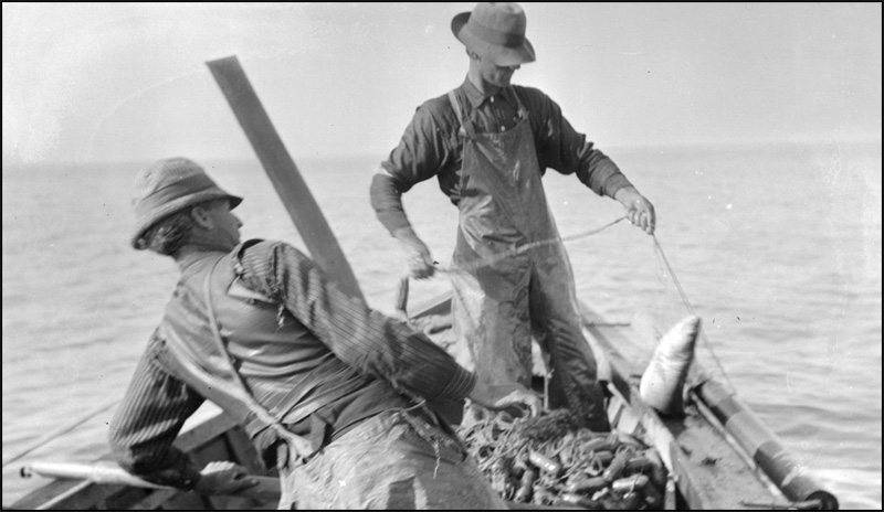Fishermen pulling in fish, Winona, [ca. 1910s]