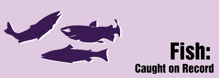 Fish caught on record banner