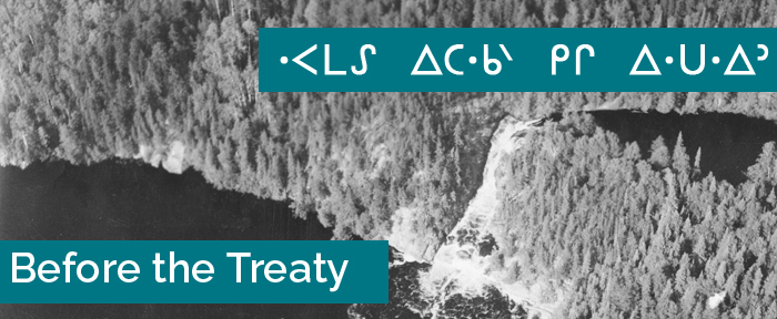 Before the Treaty banner