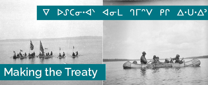 Making the Treaty banner