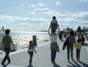 Walking along the harbourfront, Toronto