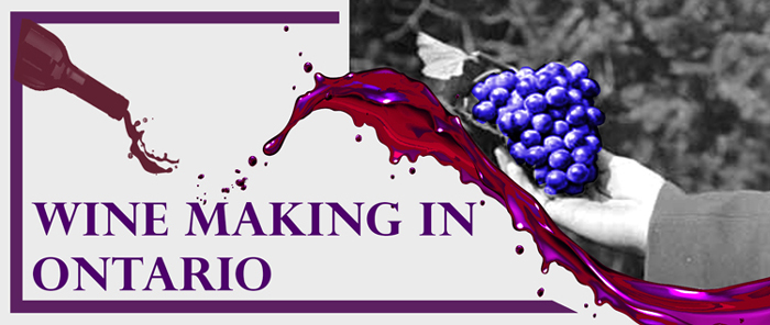 Wine Making in Ontario Banner