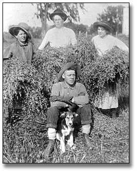 Photographie : Farm workers with their harvest, 1915