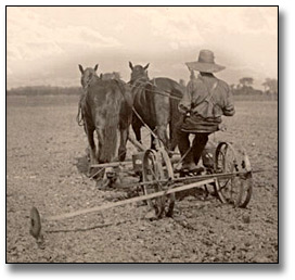 Photographie : Planting with a dual seeding machine, 1919