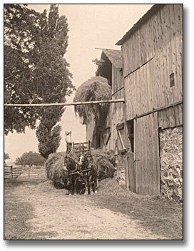 Photographie : Loading hay into barn, 1919