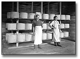 Photographie : Inside the cheese factory, Eastern Ontario, [entre 1895 et 1910]